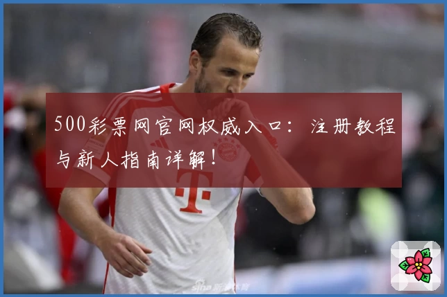 500彩票网官网权威入口：注册教程与新人指南详解！