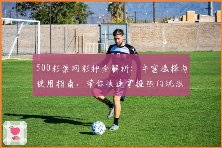 500彩票网彩种全解析：丰富选择与使用指南，带你快速掌握热门玩法