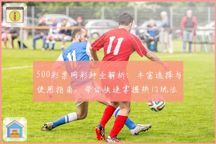 500彩票网彩种全解析:丰富选择与使用指南,带你快速掌握热门玩法
